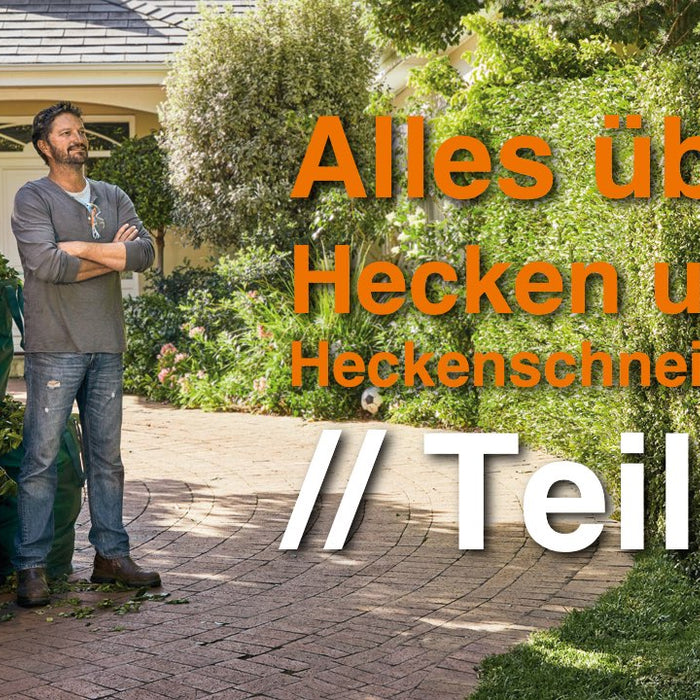 Alles, was Sie über Hecken und das Heckenschneiden wissen sollten!