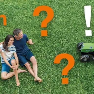 Wie oft den Rasen mulchen? - Wir verraten es Ihnen!