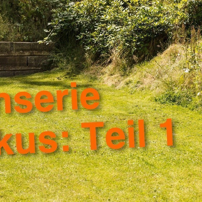 Die vier wichtigsten Akku-Mythen im Check