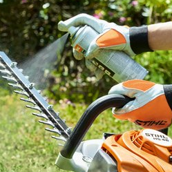 Heckenschere reinigen und pflegen