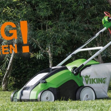 Das kleine Einmaleins des Vertikutierens