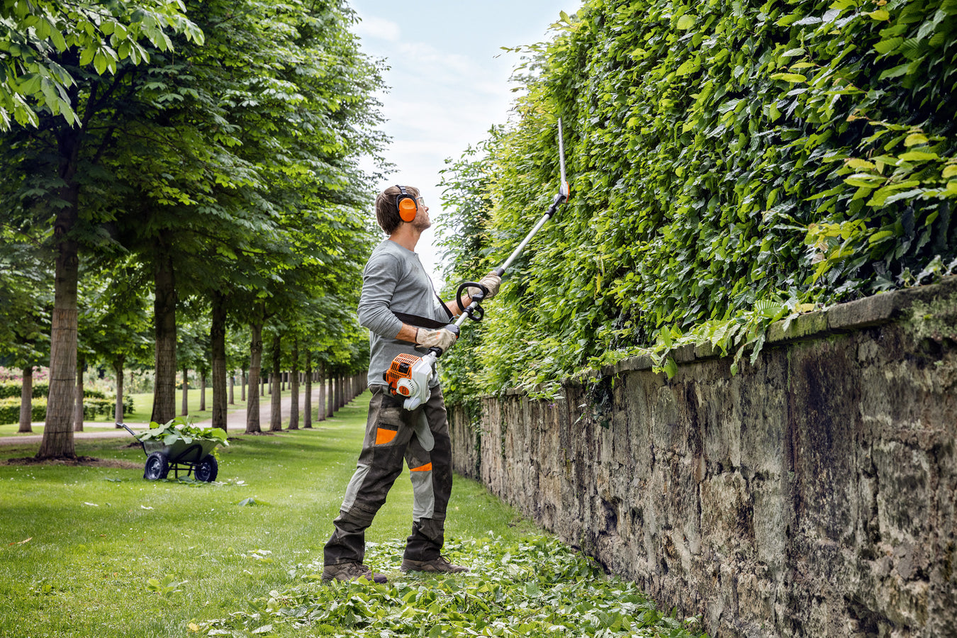 STIHL Heckenschneider