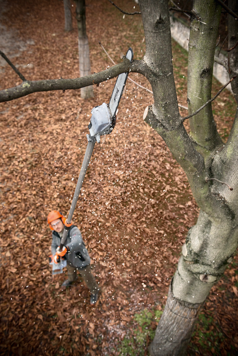 STIHL Hochentaster