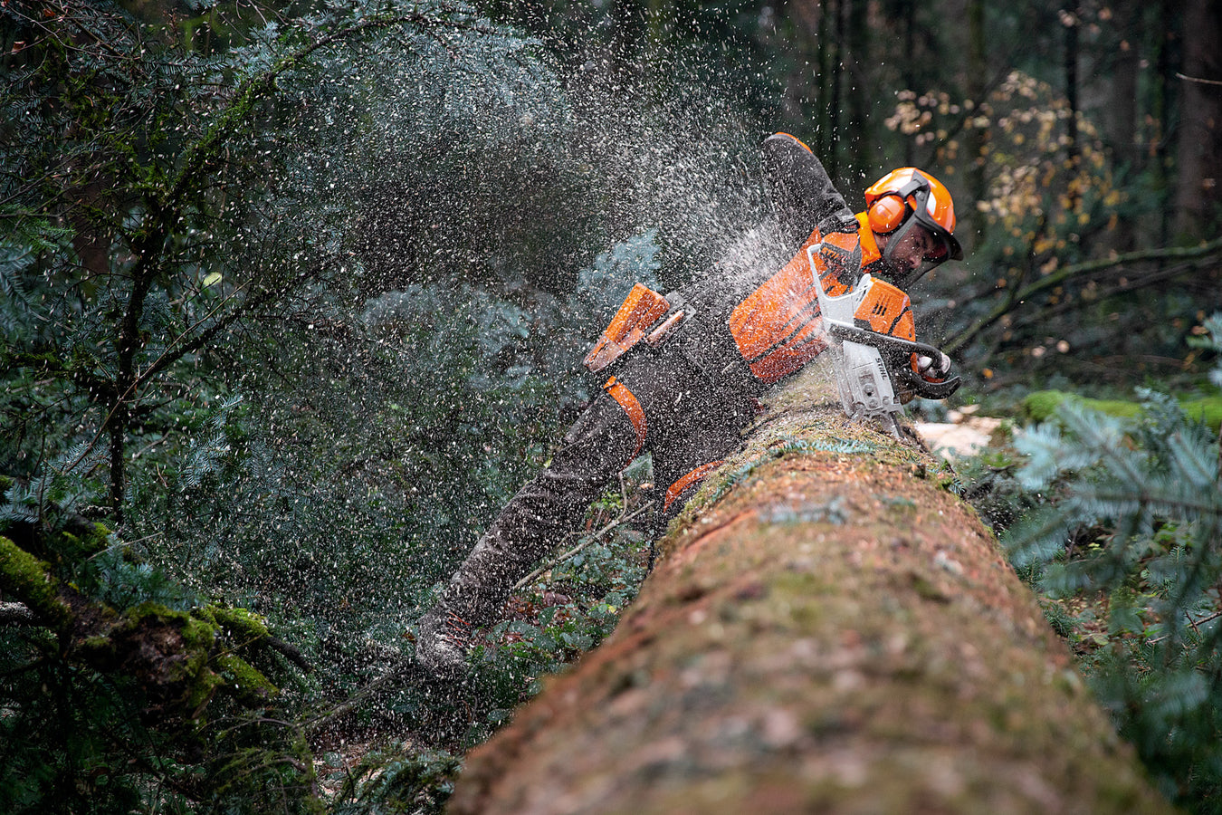 STIHL Kettensäge Benzin