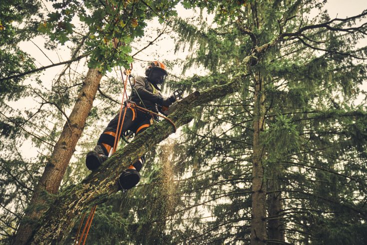STIHL Akku Kettensäge MSA 220 TC-O Version 2025