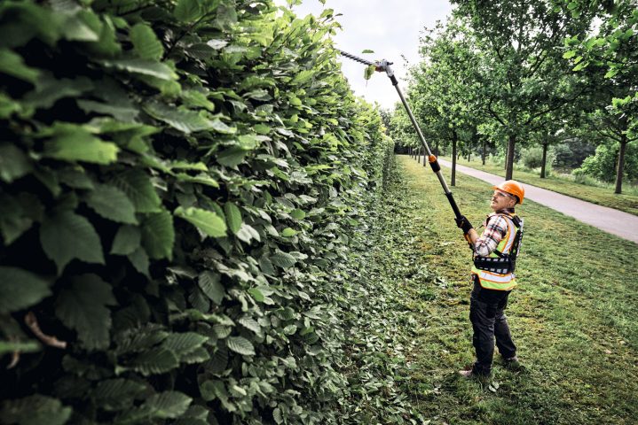 STIHL Akku-Heckenschneider HLA 150 B - AP-System