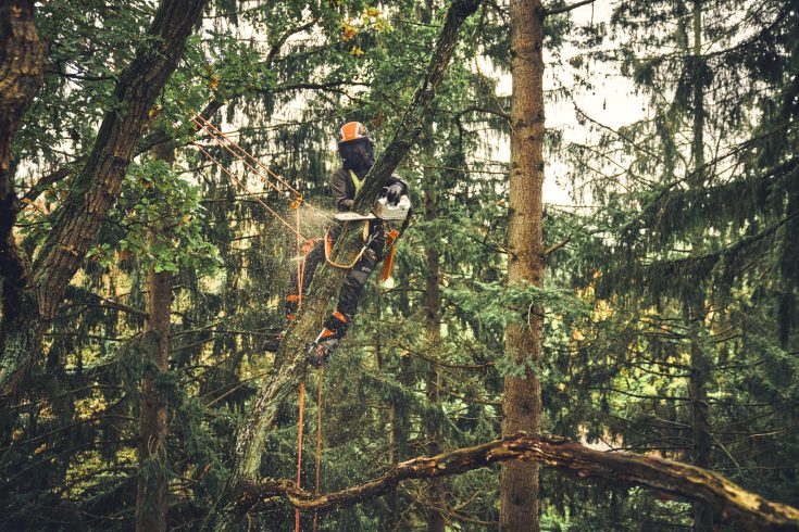 STIHL Akku Kettensäge MSA 220 TC-O Version 2025