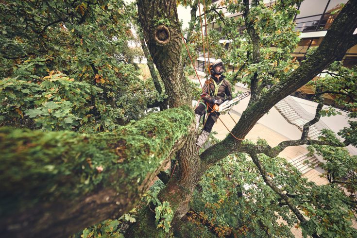 STIHL Akku Kettensäge MSA 220 TC-O Version 2025