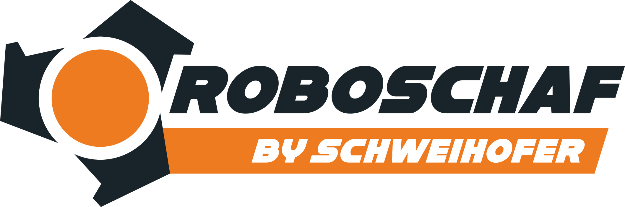 Persönliche Einweisung Roboschaf RS Pro 2/3